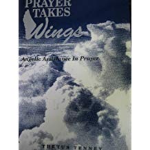 Prayer Takes Wings by Thetus Tenney