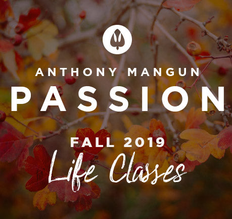 Passion - Fall Life Class by Anthony Mangun