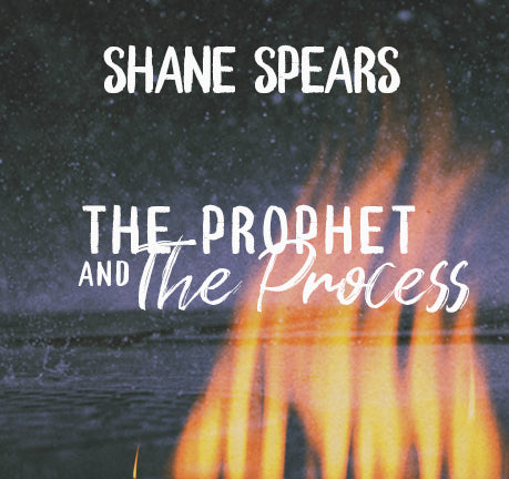 The Prophet And The Process by Shane Spears