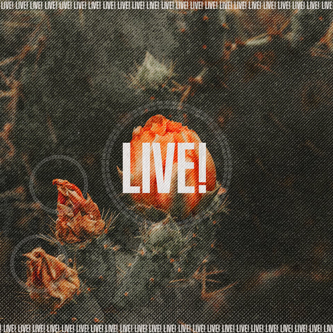 Live! by Ivan Gama