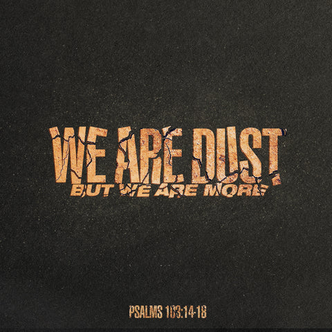 We Are Dust But We Are More by Vesta Mangun